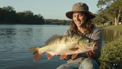 Cena acolhedora de um jogo de pesca: um jogador à margem de um lago sereno ao amanhecer, segurando uma vara enquanto a linha forma ondas suaves na água e peixes aparecem sob a superfície.